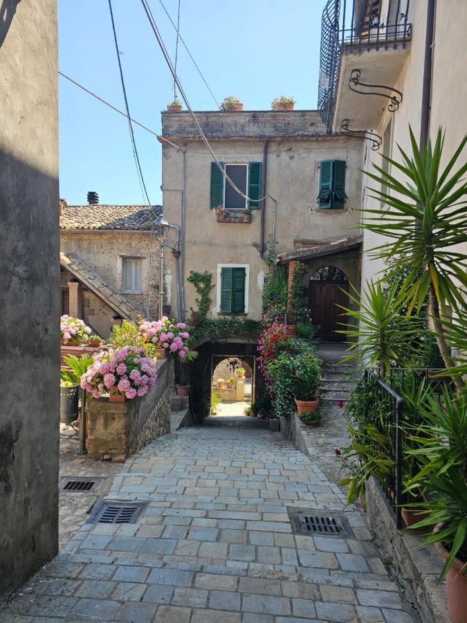 فيلا Domus Claudia Castiglione In Teverina المظهر الخارجي الصورة